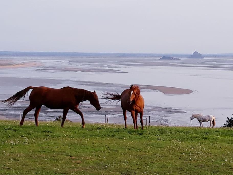 Maison Vue Sur Le Mont Saint Michel Et Sa Baie Champeaux Kültér fotó